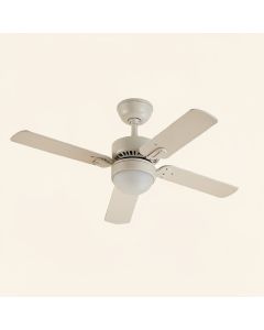 Non Reversing Fan And Light Ceiling Fan Remote (synthetic illustration; no displayed measurements)