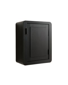 Dawn Canyon Wall-Mounted Laundry Cabinet - Black (synthetic illustration; no displayed measurements)