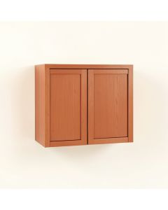 Linden Bend Wall-Mounted Entry Cabinet - Terracotta (synthetic illustration; no displayed measurements)