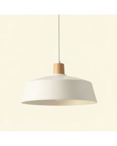 Cove Dell Pendant Light Suspended From One Plain Cable - White (synthetic illustration; no displayed measurements)