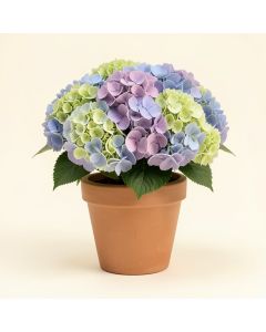 Hydrangea Floral Arrangement In French Bee Pot (synthetic illustration; no displayed measurements)