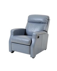 Ahaziah 35 '' Wide Power Lift Assist Standard Recliner (synthetic illustration; no displayed measurements)