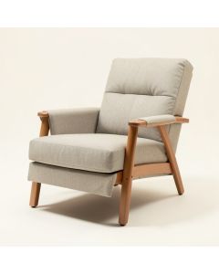 Daschel 34.6 '' Wide Power Lift Assist Standard Recliner (synthetic illustration; no displayed measurements)
