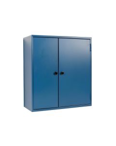 Birch Bend Wall-Mounted Entry Cabinet - Blue (synthetic illustration; no displayed measurements)