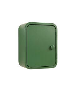 Vale Brook Wall-Mounted Laundry Cabinet - Green (synthetic illustration; no displayed measurements)