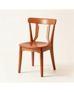 Briar Bridge Dining Chair - Terracotta (synthetic illustration; no displayed measurements)