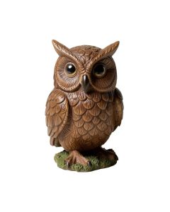 Owl With Fairy Garden Statue