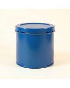 Fern Branch Storage Canister With Lid - Blue (synthetic illustration; no displayed measurements)