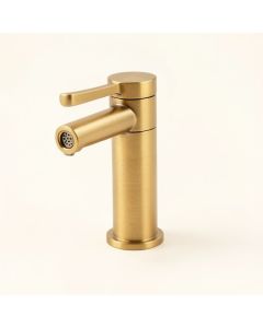 Pamplona Single Hole Bathroom Faucet With Drain Assembly (synthetic illustration; no displayed measurements)