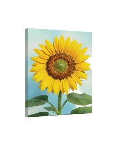 Sunflower Modern