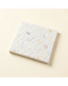 0.6 '' X 1.2 '' Seashell Mosaic Tile (synthetic illustration; no displayed measurements)