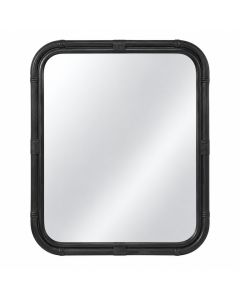 Fern Canyon Framed Wall Mirror - Black