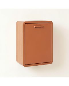 Moss Bridge Wall-Mounted Laundry Cabinet - Terracotta (synthetic illustration; no displayed measurements)