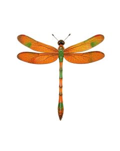 Peacock Dragonfly Wall Décor