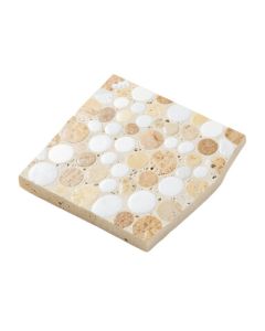 0.6 '' X 1.2 '' Seashell Mosaic Subway Tile
