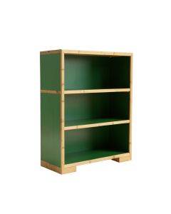 Dune Bluff Freestanding Bookcase - Green (synthetic illustration; no displayed measurements)