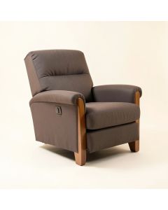 45.5 '' Wide Manual Rocker Standard Recliner (synthetic illustration; no displayed measurements)