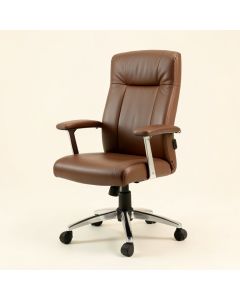 Shearwater Ergonomic Office Chair (synthetic illustration; no displayed measurements)