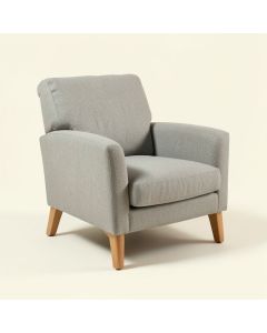 Driskill 51 '' Wide Polyester Armchair (synthetic illustration; no displayed measurements)
