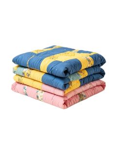 Roger Dinosaur Zoon Quilt Set (synthetic illustration; no displayed measurements)