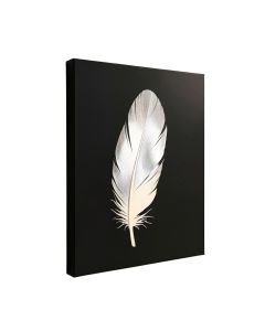Feather I Graphic Art On Wrapped Canvas