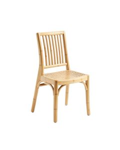 Sage Arc Dining Chair - Beige (synthetic illustration; no displayed measurements)