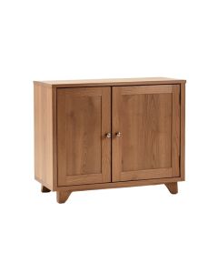 Adalberto 2 Door Accent Cabinet (synthetic illustration; no displayed measurements)