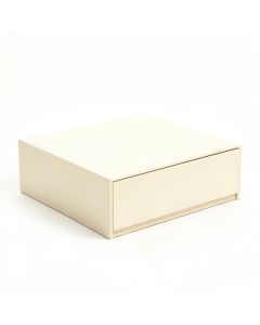 Heath Bluff Desktop Monitor Riser - Ivory (synthetic illustration; no displayed measurements)