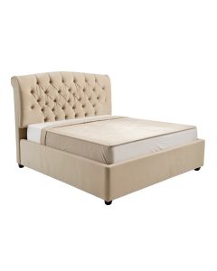 Dipi Queen Tufted Upholstered Standard Bed (synthetic illustration; no displayed measurements)
