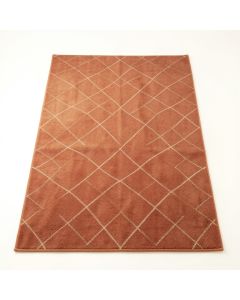 Birch Bluff Rectangular Area Rug - Terracotta (synthetic illustration; no displayed measurements)
