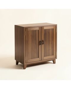 Mekhi 2 Door Accent Cabinet (synthetic illustration; no displayed measurements)