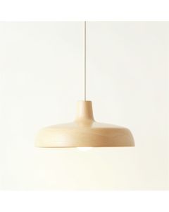 Moss Dale Pendant Light Suspended From One Plain Cable - Cream (synthetic illustration; no displayed measurements)