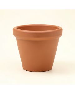 Large Terracotta Pot Planter Without Saucer (synthetic illustration; no displayed measurements)