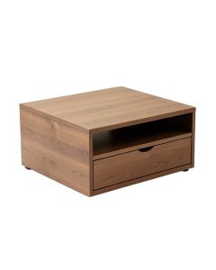 Burnes Coffee Table With Storage (synthetic illustration; no displayed measurements)