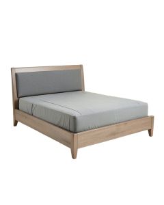 Francheska Queen Standard Bed (synthetic illustration; no displayed measurements)
