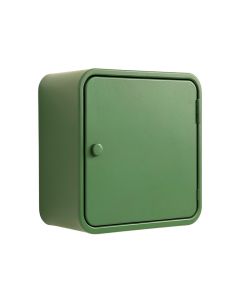 Briar Dale Wall-Mounted Entry Cabinet - Green