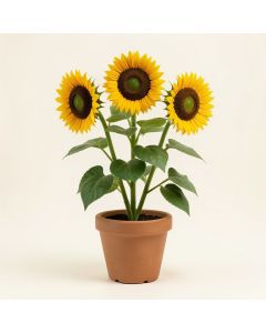 Flowering Plant With 3 Sunflower Heads In Pot (synthetic illustration; no displayed measurements)