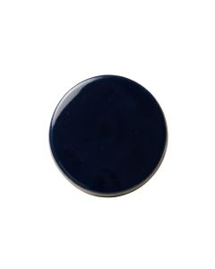 1 '' X 1 '' Porcelain Penny Round Mosaic Wall & Floor Tile