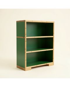 Dune Bluff Freestanding Bookcase - Green (synthetic illustration; no displayed measurements)