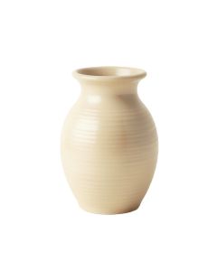 Rowan Branch Empty Decorative Vase - Beige (synthetic illustration; no displayed measurements)