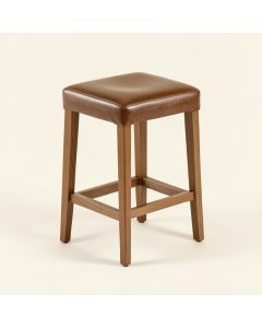 Leocadia Bar & Counter Stool (synthetic illustration; no displayed measurements)