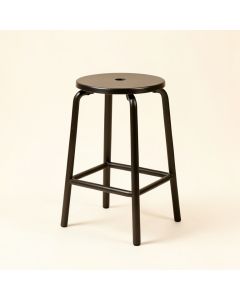 Miconia Bar & Counter Stool (synthetic illustration; no displayed measurements)