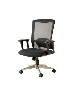 Gayla Mesh Executive Chair (synthetic illustration; no displayed measurements)