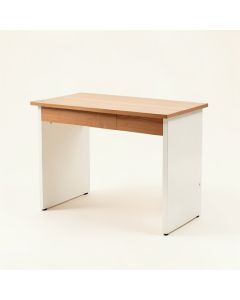 Dayne Desk (synthetic illustration; no displayed measurements)
