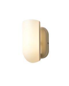 1-Light Wall Sconce