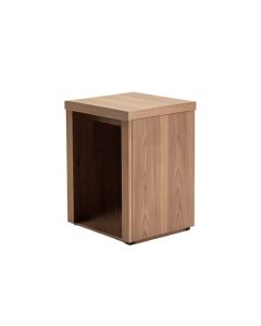 Amirah End Table With Storage (synthetic illustration; no displayed measurements)