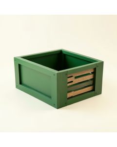 Brook Canyon Empty Furniture-Style Litter Enclosure - Green (synthetic illustration; no displayed measurements)