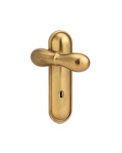 Custom Broadway Non-Turning Lever With Century Trim