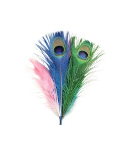 Eye Natural Peacock Tails Feathers