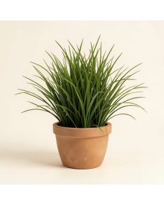 Artificial Desktop Succulent And Grass Arrangement Plant In Pot (synthetic illustration; no displayed measurements)